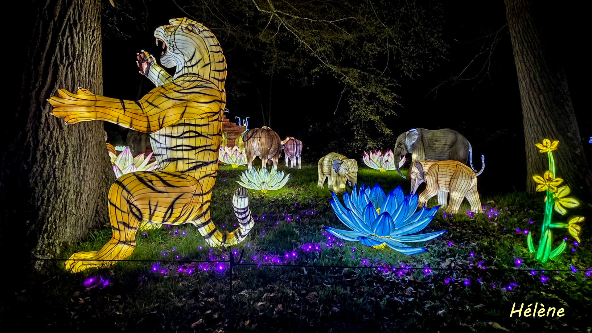 THOIRY -Illumination ,  Lumières sauvages 2025-2026